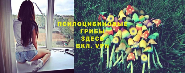 MDMA Premium VHQ Карпинск