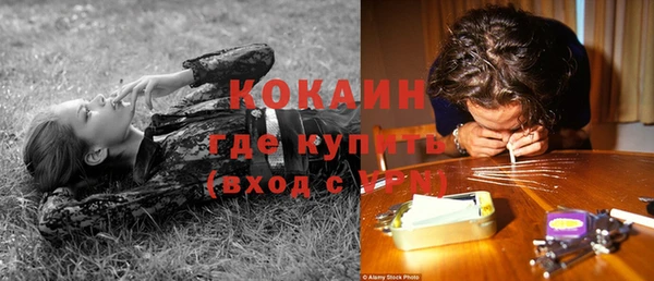 сатива Карталы