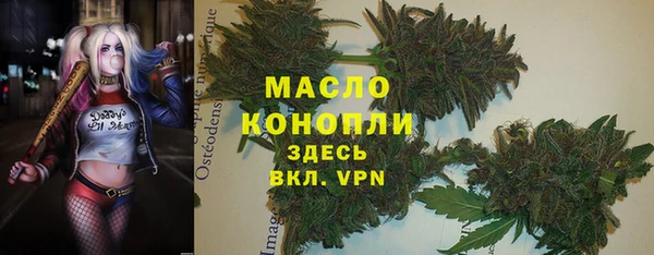 сатива Карталы