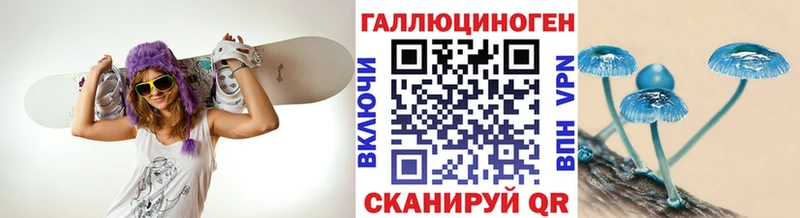 Псилоцибиновые грибы Psilocybe  Купить  Крымск 